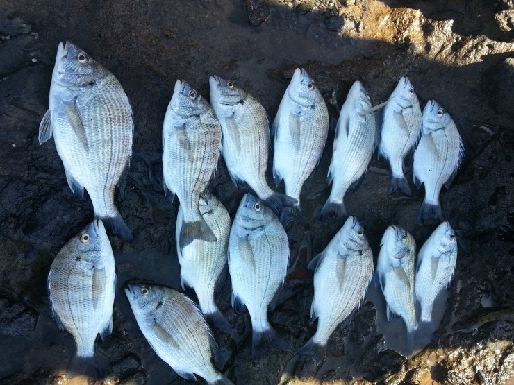 %BB%E7%C1%F8_429.jpg?type=w740