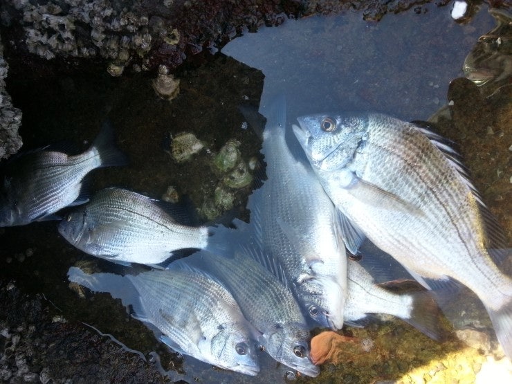 %BB%E7%C1%F8_430.jpg?type=w740