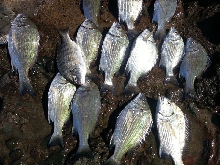 %BB%E7%C1%F8_427.jpg?type=w740