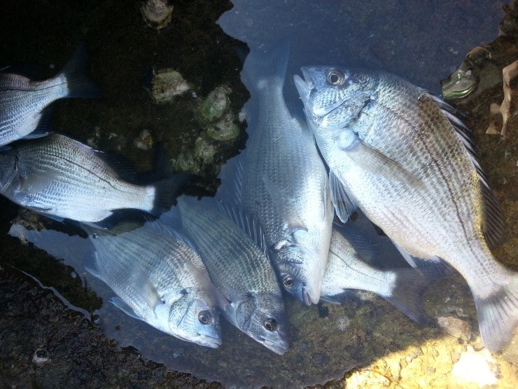 %BB%E7%C1%F8_431.jpg?type=w740