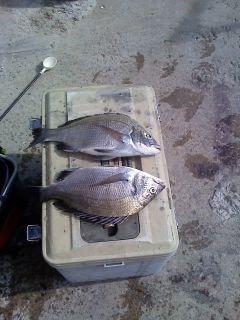 %BB%E7%C1%F8_079.jpg?type=w740