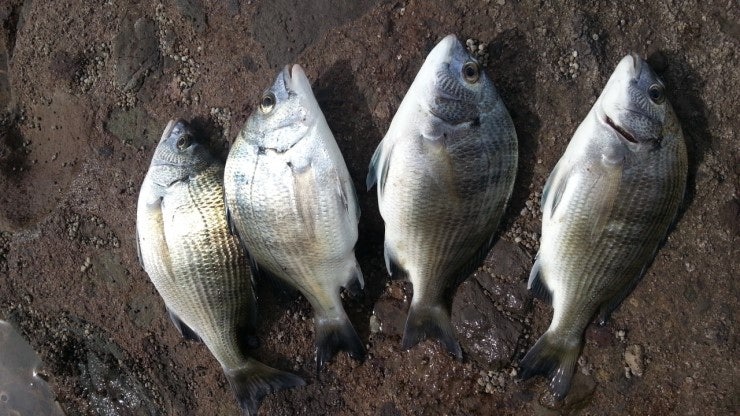 %BB%E7%C1%F8_573.jpg?type=w740