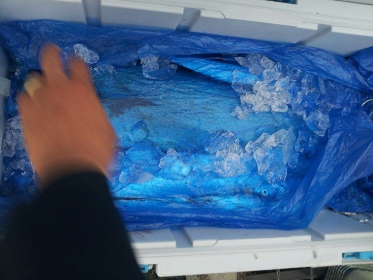 %BB%E7%C1%F8_936.jpg?type=w740