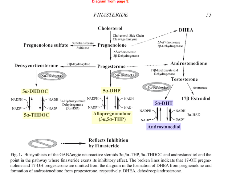 Natural 5ar Inhibitors From Vegetables | natural 5ar inhibitors from vegetables natural 5ar Natural 5ar Inhibitors From Vegetables | natural 5ar inhibitors from vegetables natural 5ar