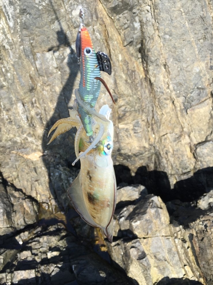 IMG_1179.JPG?type=w740