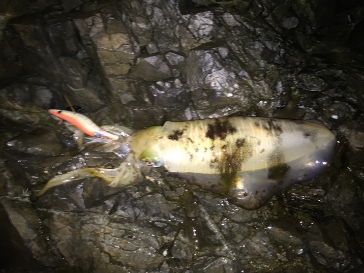 IMG_1148.JPG?type=w740