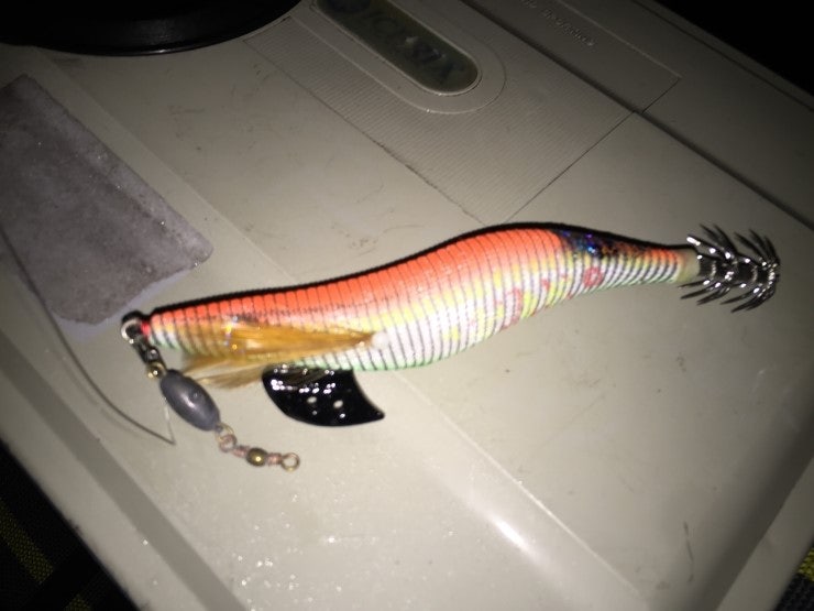 IMG_1145.JPG?type=w740